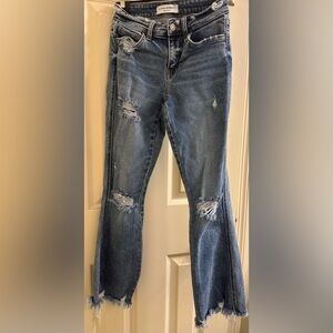 Flying Monkey flair cropped jeans
